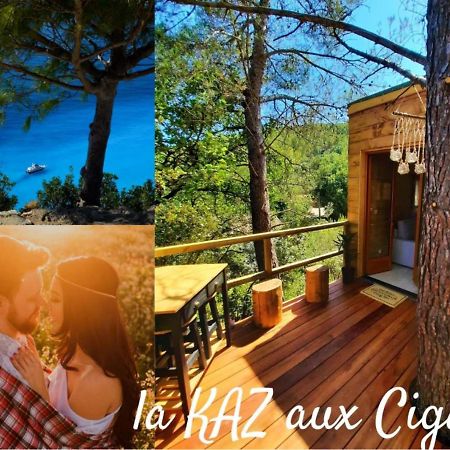 Cabane Dans Les Arbres "La Kaz Aux Cigales" キュエール エクステリア 写真